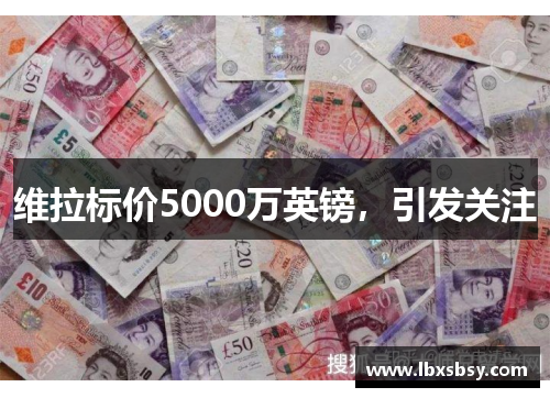 维拉标价5000万英镑，引发关注